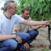 img Technicien viticole - Vigneron